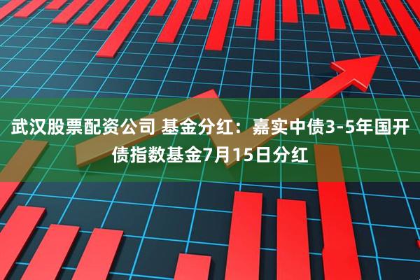 武汉股票配资公司 基金分红：嘉实中债3-5年国开债指数基金7月15日分红