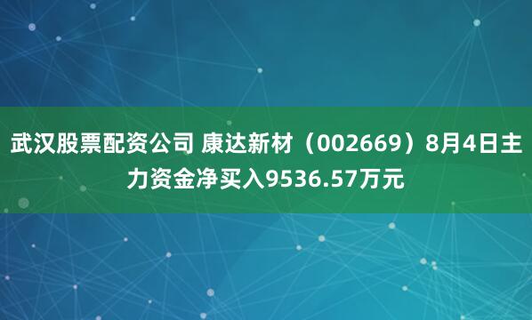 武汉股票配资公司 康达新材（002669）8月4日主力资金净买入9536.57万元