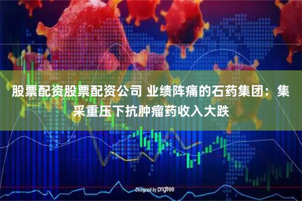 股票配资股票配资公司 业绩阵痛的石药集团：集采重压下抗肿瘤药收入大跌