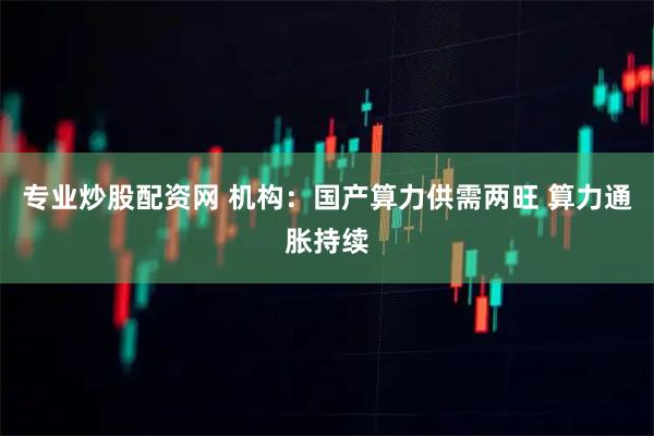 专业炒股配资网 机构：国产算力供需两旺 算力通胀持续